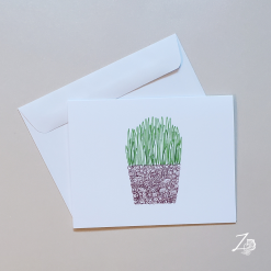 Roji Plant